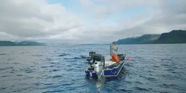 Alaska Fish: Exploring the Waters of Southeast Alaska