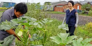 Food Flow and the Future of Farming: Agricultural Logistics Innovator - Kato Yuriko