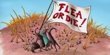Flea or Die!