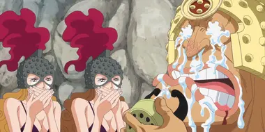 To be Free! Dressrosa's Delight!