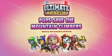 Ultimate Rescue: Pups Save the Mountain Climbers
