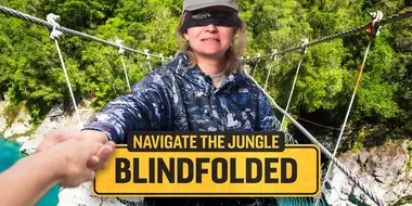 Navigate the Jungle Blindfolded