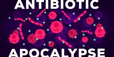 The Antibiotic Apocalypse Explained