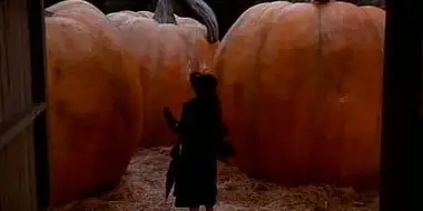 The Pumpkin Competition