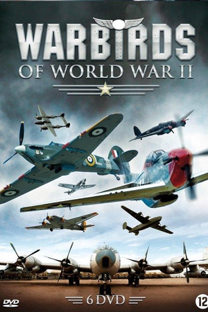 Warbirds of World War II