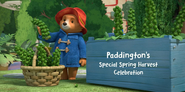 Paddington’s Special Spring Harvest Celebration