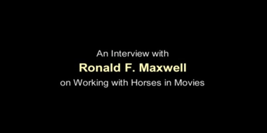 Working with Horses in Movies