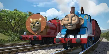 Thomas' Animal Friends