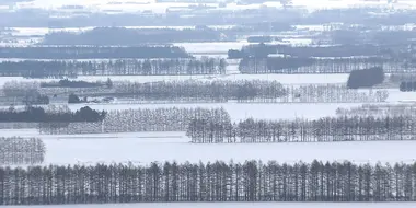 Tokachi Plain in Winter