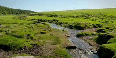 Bodmin to Totnes