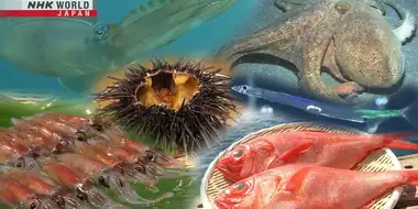 You Eat That?! - Cool Seafood
