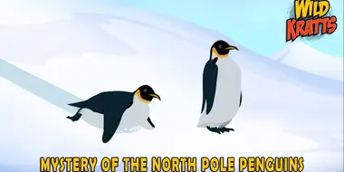 Mystery of the North Pole Penguin
