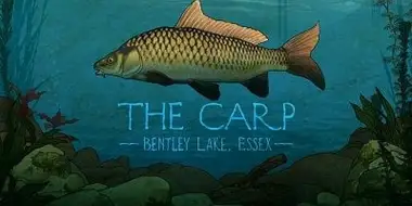 The Carp: Bentley Lake, Essex