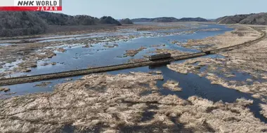 Spring Arrives in Eastern Hokkaido