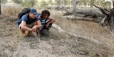 Hairy-Nosed Wombats