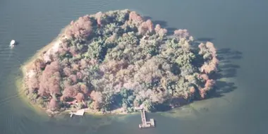 Disney's Discovery Island