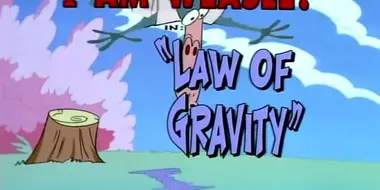 Law of Gravity