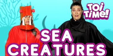 Sea Creatures