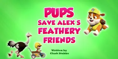 Pups Save Alex's Feathery Friends