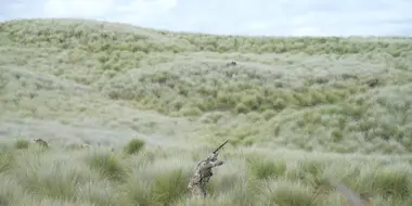 Hawaii Feral Goats and Wahoo