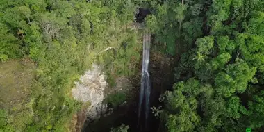 Borneo: Dark Shadow