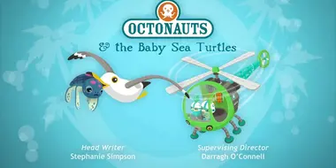 Octonauts and the Baby Sea Turtles