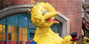 Measuring Big Bird