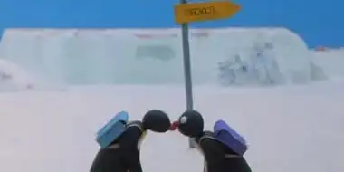 Pingu's Admirer