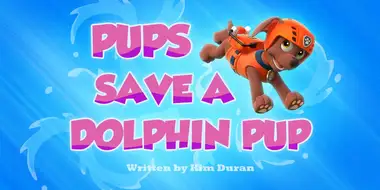Pups Save a Dolphin Pup