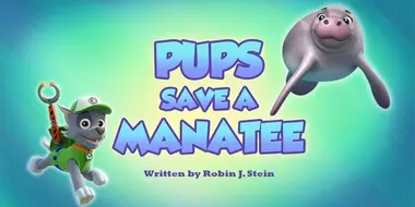 Pups Save a Manatee