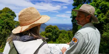 Dorrigo National Park