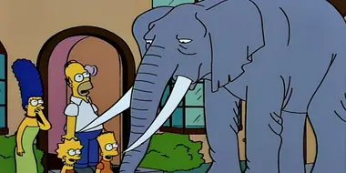 Bart Gets an Elephant