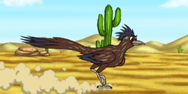 The Great Roadrunner Race