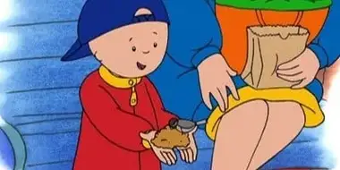 Caillou Goes Birdwatching