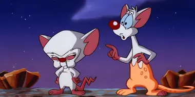 A Pinky And The Brain Halloween