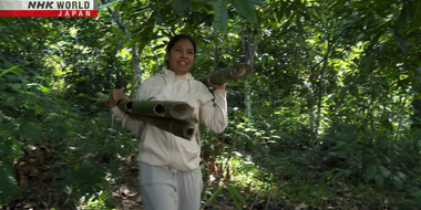 The Power of Bamboo: Indonesia