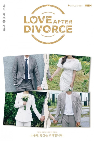 Love After Divorce