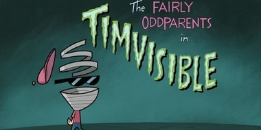 Timvisible