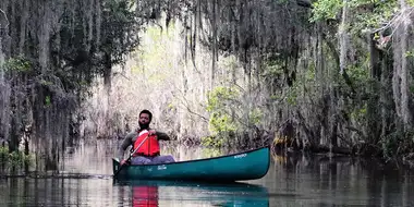 Suwannee: Wild River