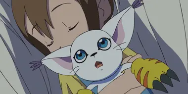 Hikari and Tailmon