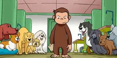 Curious George, Dog Counter