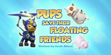 Pups Save Their Floating Friends