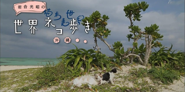 Okinawa