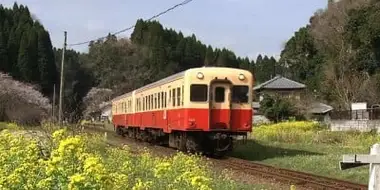 Kominato Railway: The Strategy of a Quaint Local Railway