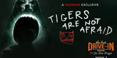 Tigers Are Not Afraid