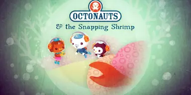 The Snapping Shrimp