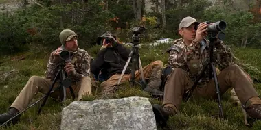 Mountain Meditation: British Columbia Grizzly Bear