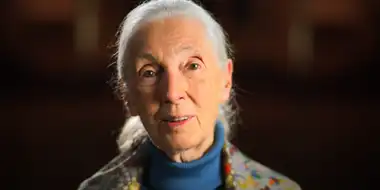 Jane Goodall