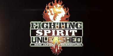 Fighting Spirit Unleashed