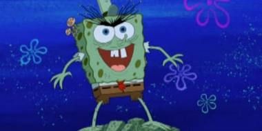 Moldy Sponge